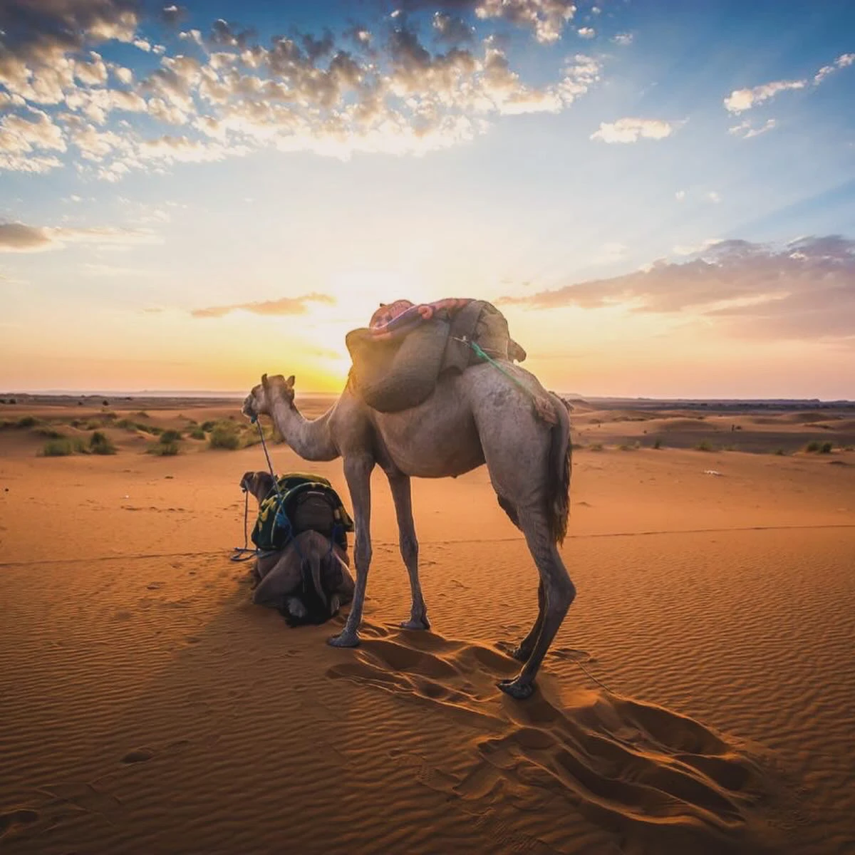 Ruta Marrakech Desierto, travesia por el Alto Atlas hasta las dunas de Merzouga