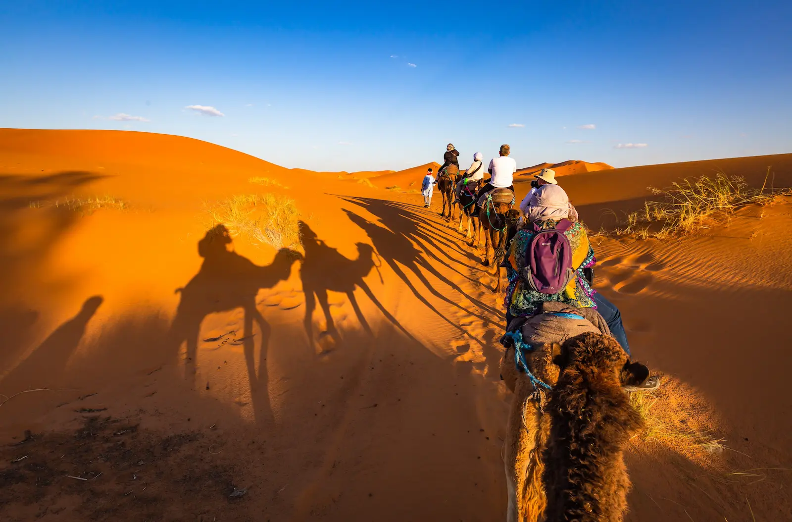 camel-shadows-in-sahara-with-tourists-2026-03-13-01-56-38-utc
