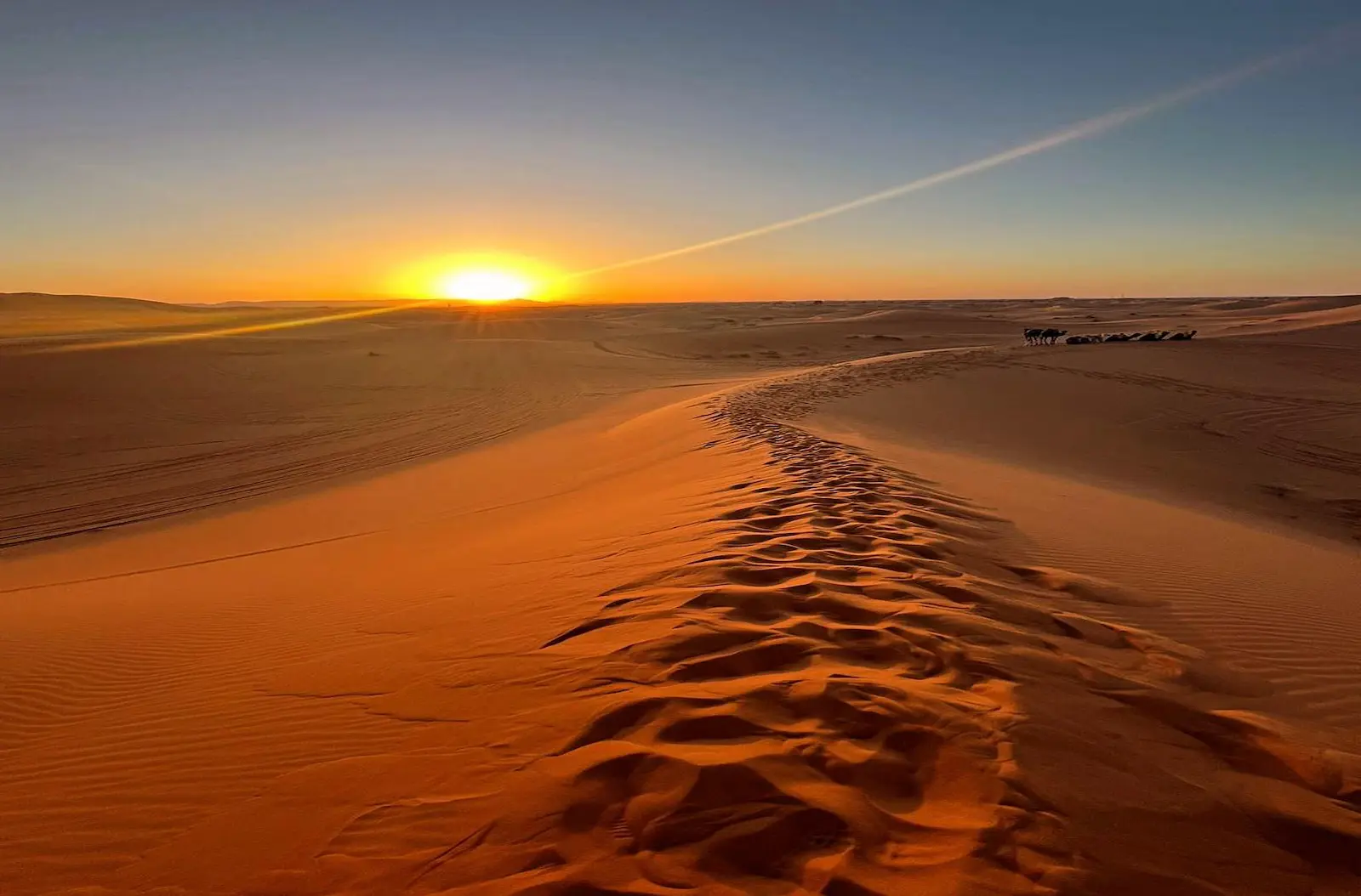 Desierto Zagora​